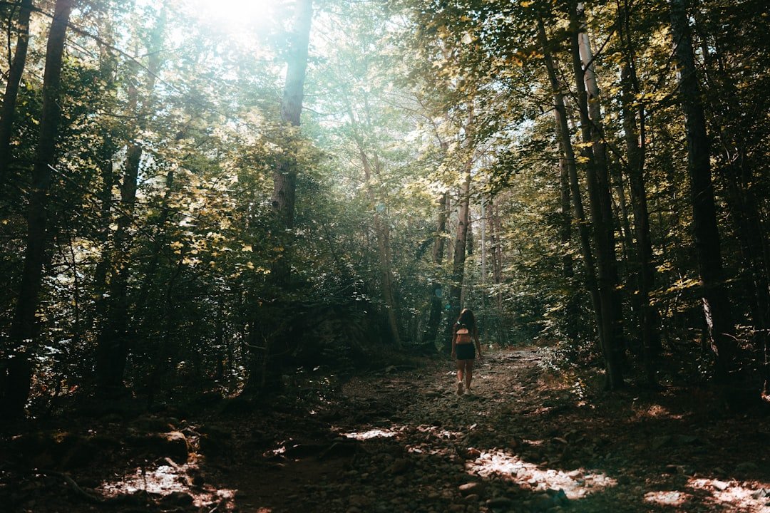 Écotourisme en France : 15 destinations nature accessibles sans avion
