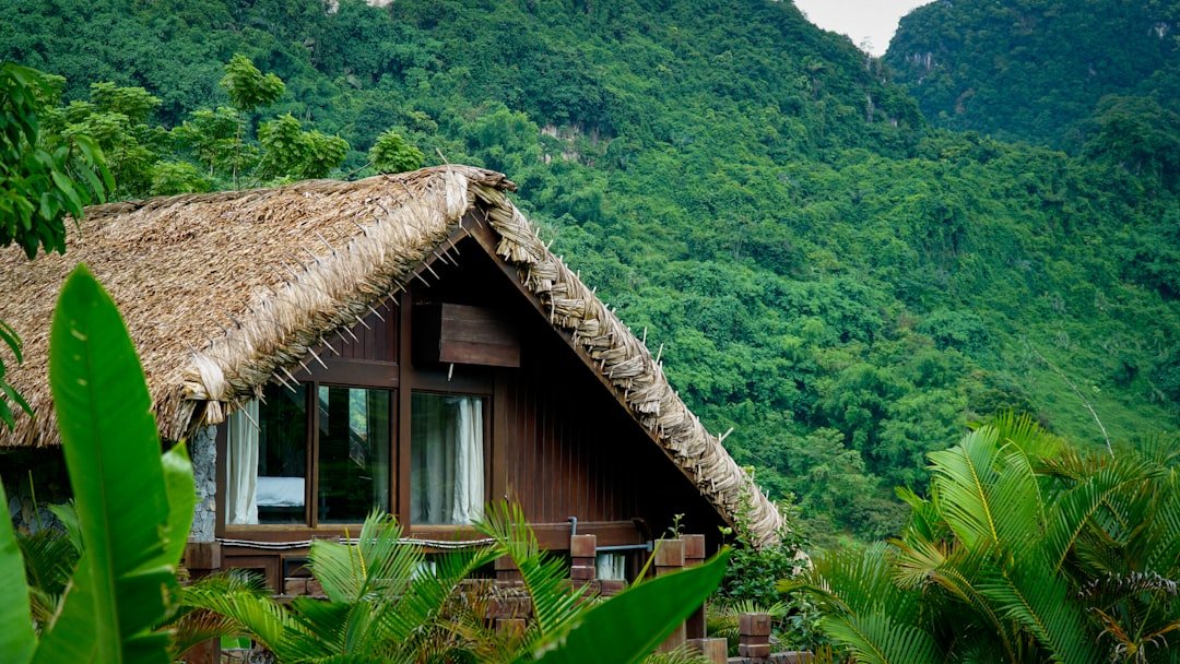 Écotourisme : définition, labels et destinations pour voyager responsable